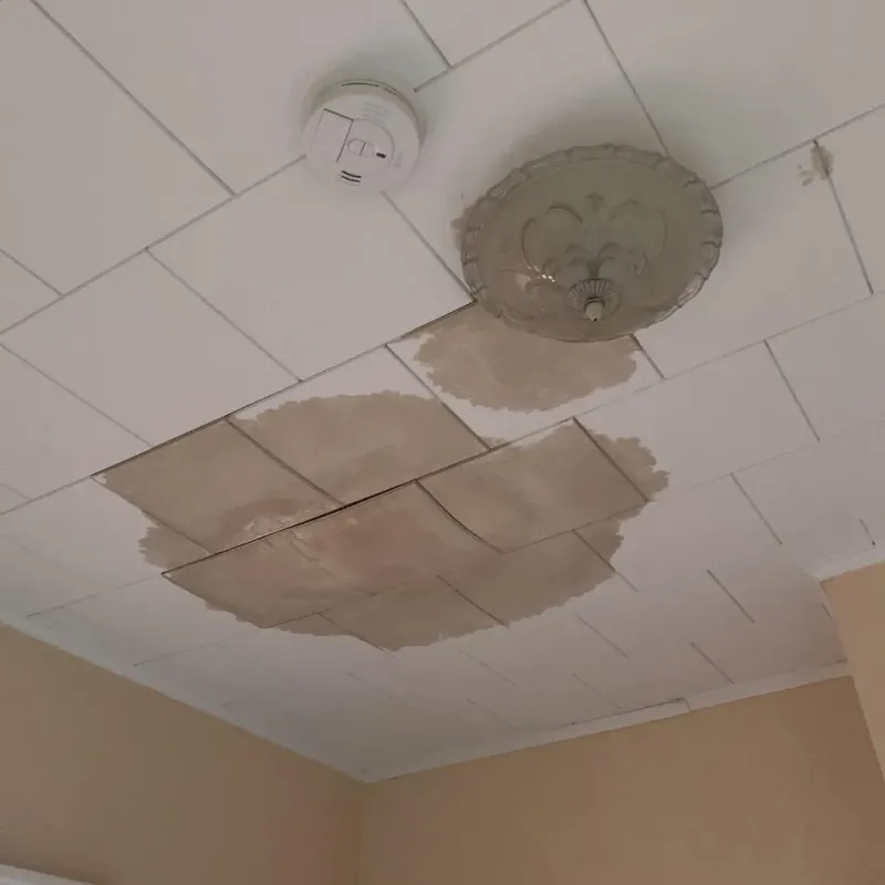 Ceiling Water Damage Repair in Decatur County, TN