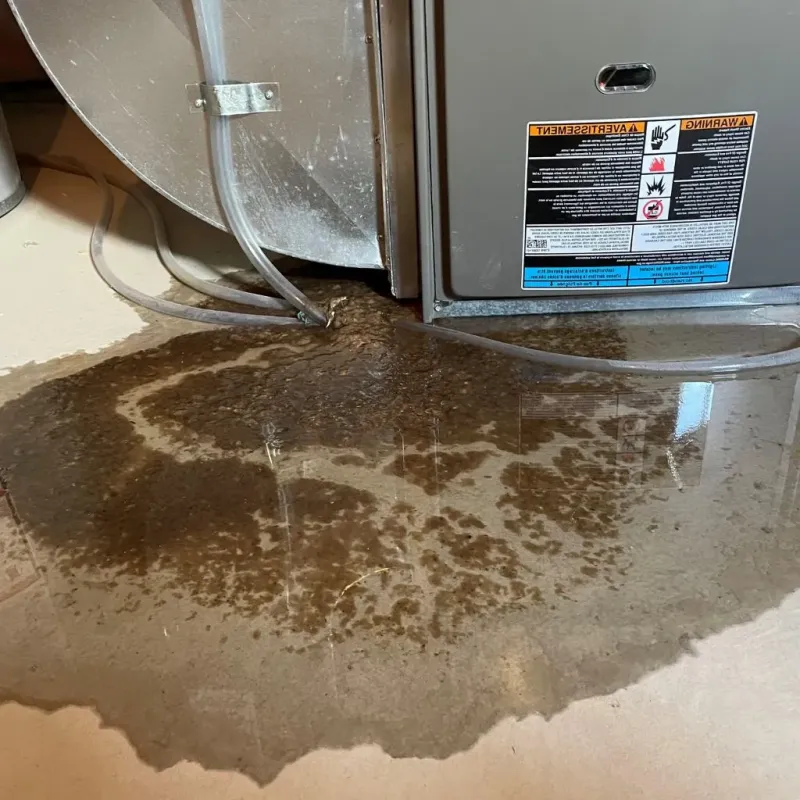 Pipe Burst and Leak Restoration in Decatur County, TN