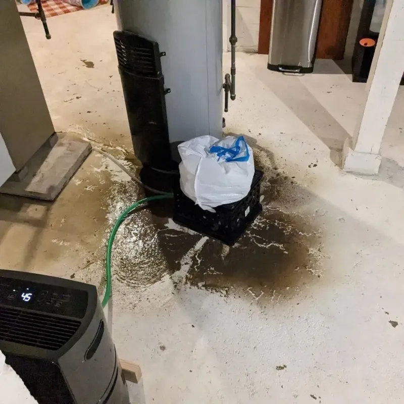 Sewage Backup Cleanup Service in Decatur County, TN